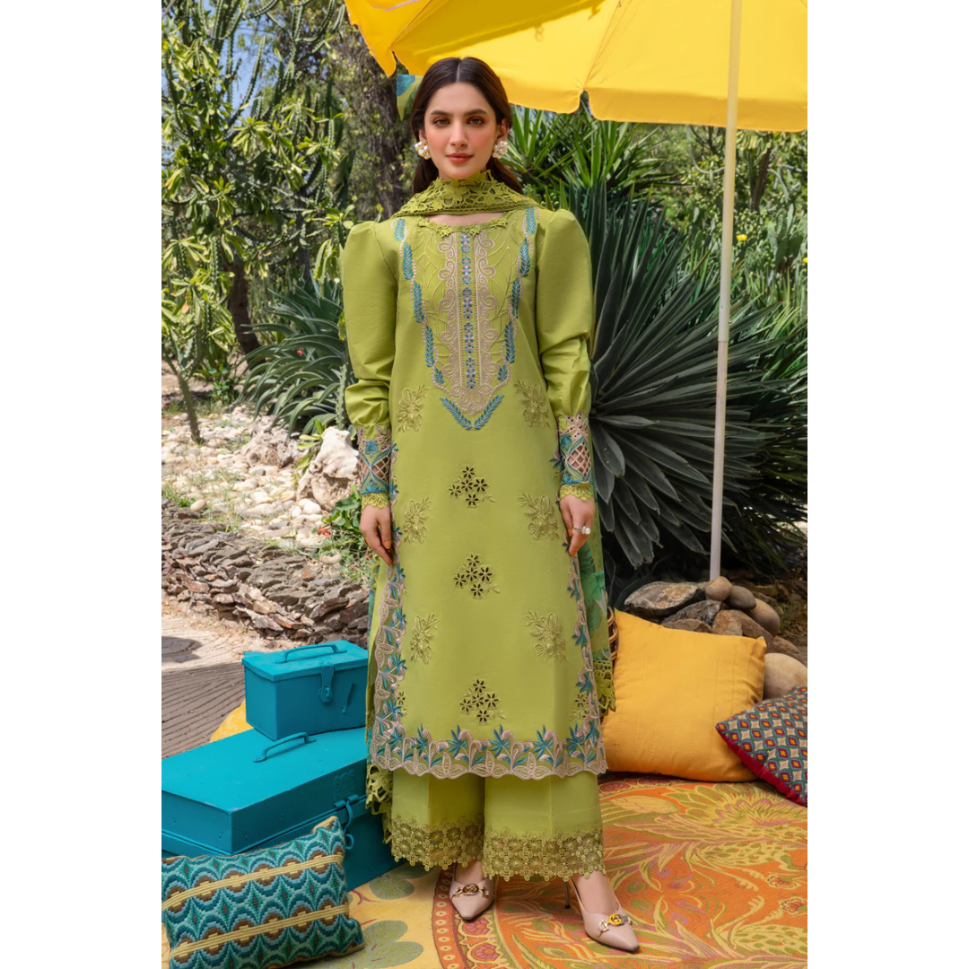 Nargis Noor