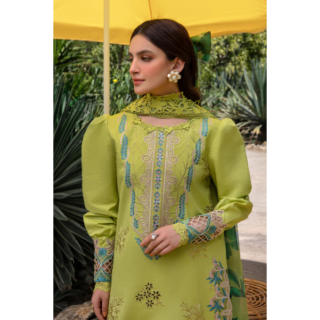 Nargis Noor