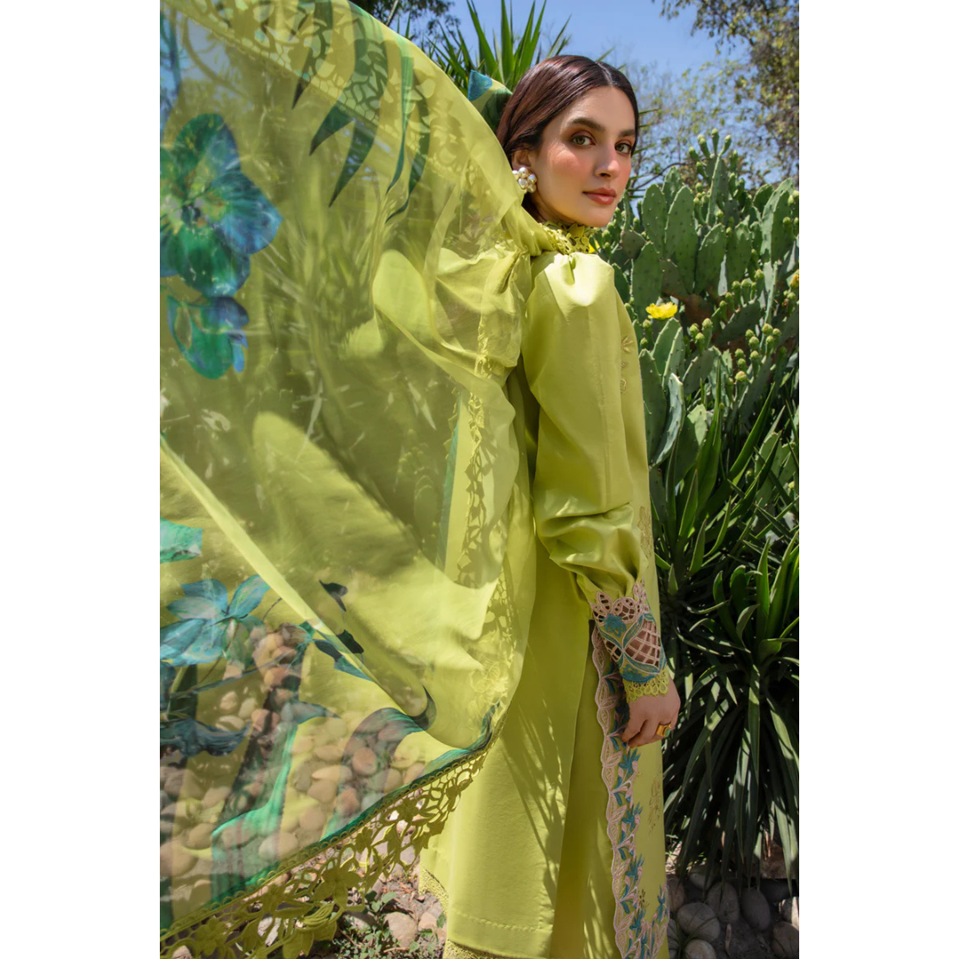 Nargis Noor